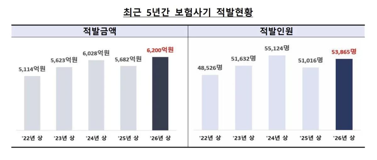 상반기 보험사기 적발금액 6천200억원, 9% 증가…역대 최대